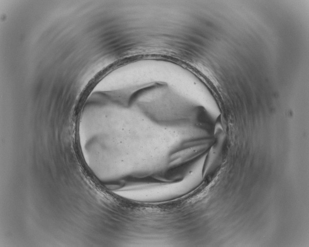 X0000088891119200706291433