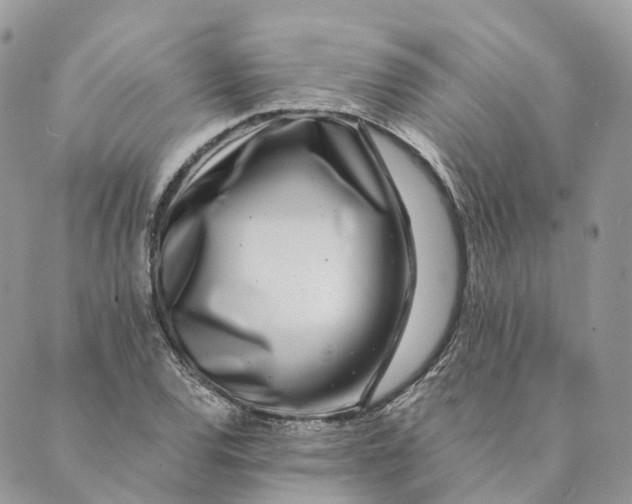 X0000088891120200706291433