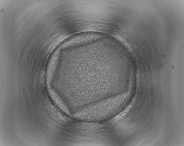 X0000088891121200706291433