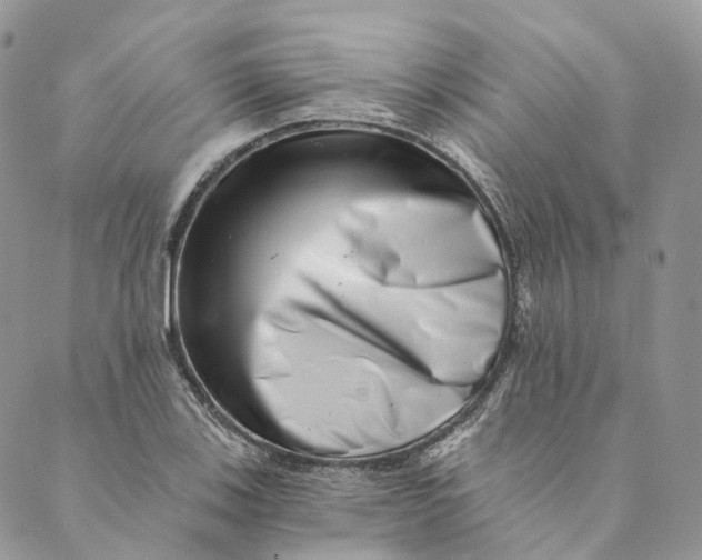 X0000088891123200706291433