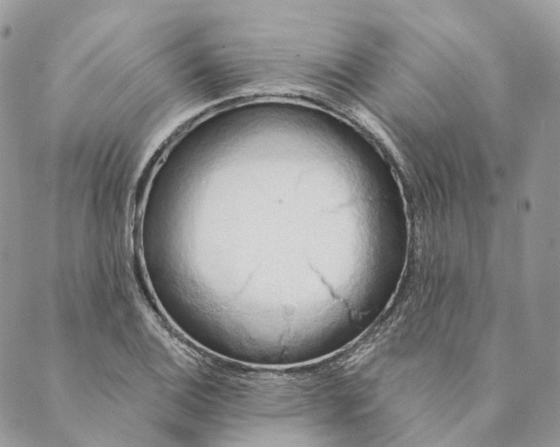 X0000088891124200706291433