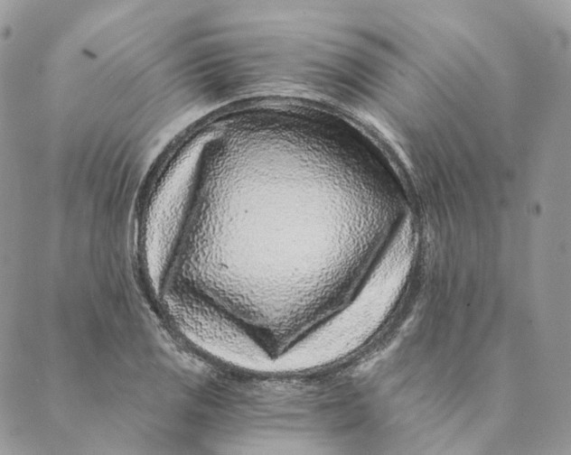 X0000088891125200706291433