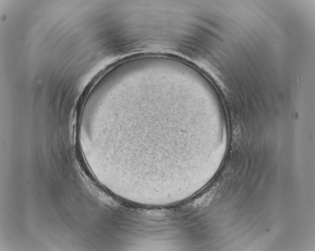 X0000088891126200706291433