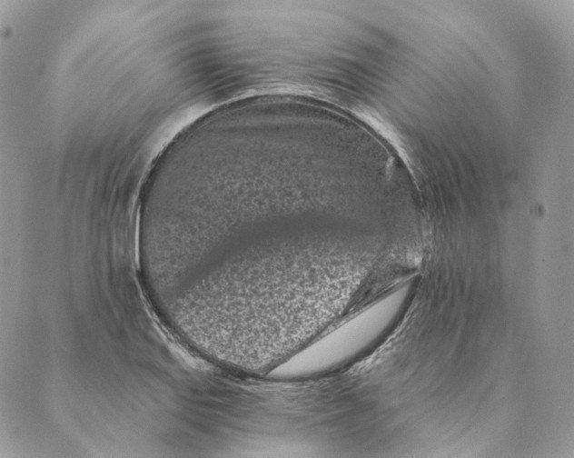 X0000088891127200706291433