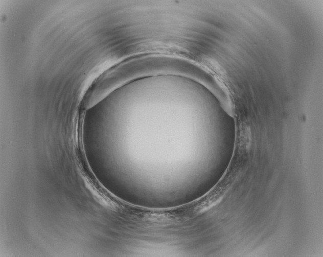 X0000088891128200706291433