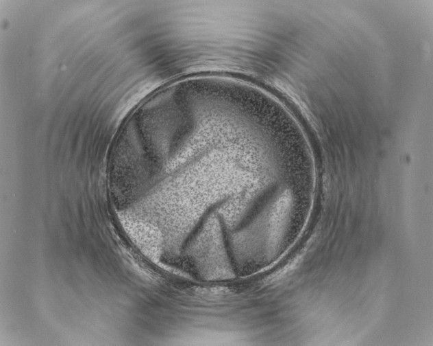 X0000088891129200706291433