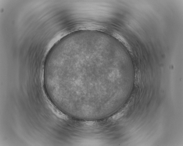 X0000088891130200706291433