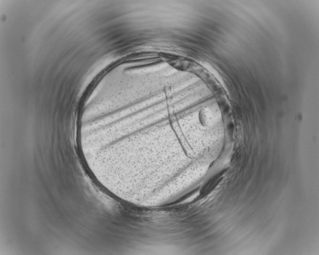 X0000088891131200706291433