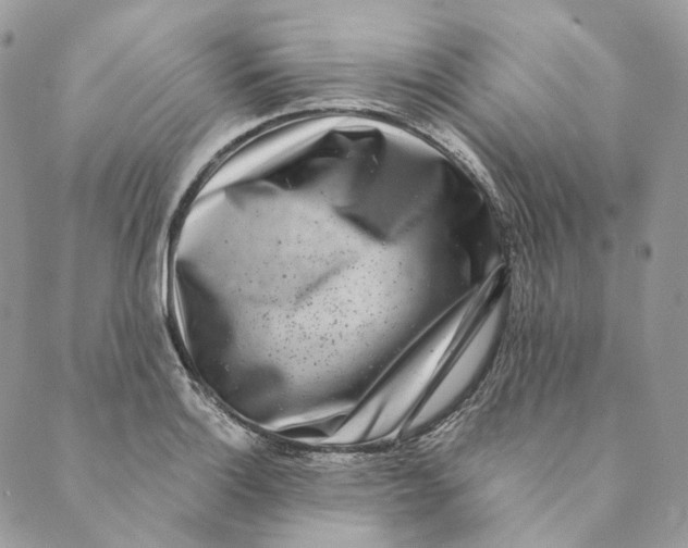 X0000088891132200706291433