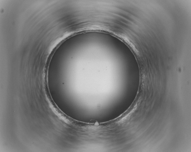 X0000088891134200706291433