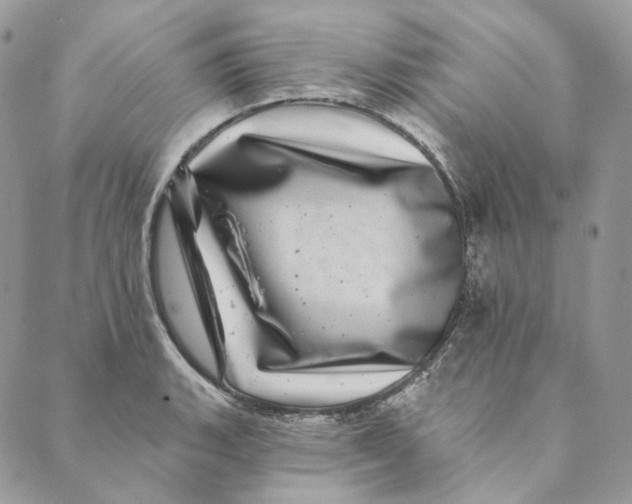 X0000088891135200706291433