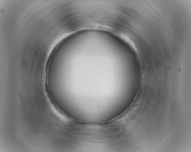 X0000088891136200706291433