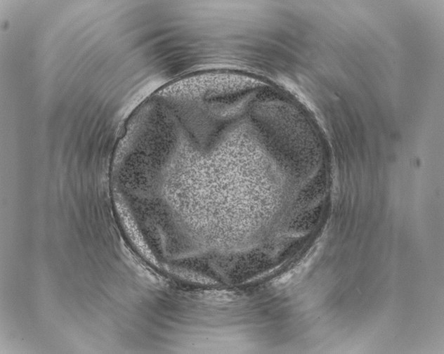 X0000088891137200706291433