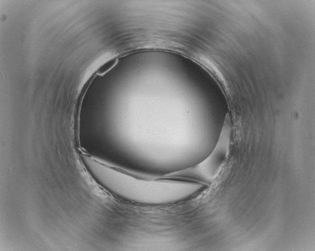 X0000088891138200706291433