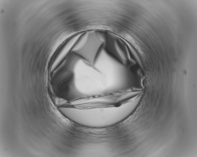 X0000088891140200706291433