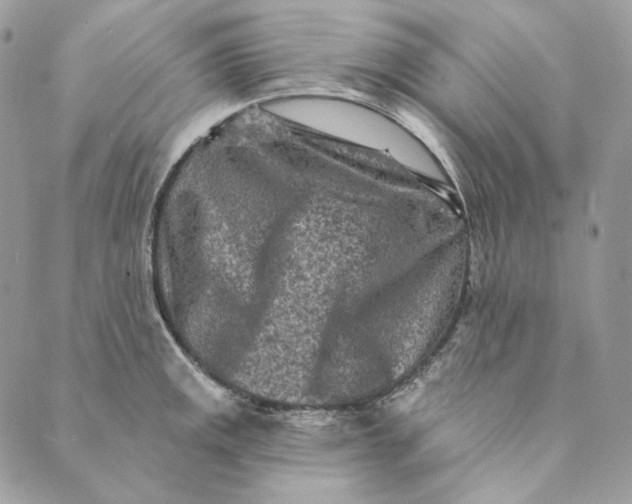 X0000088891141200706291433