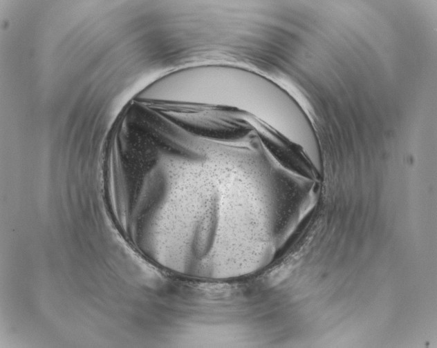 X0000088891142200706291433