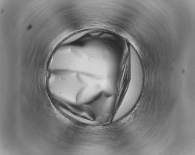 X0000088891143200706291433