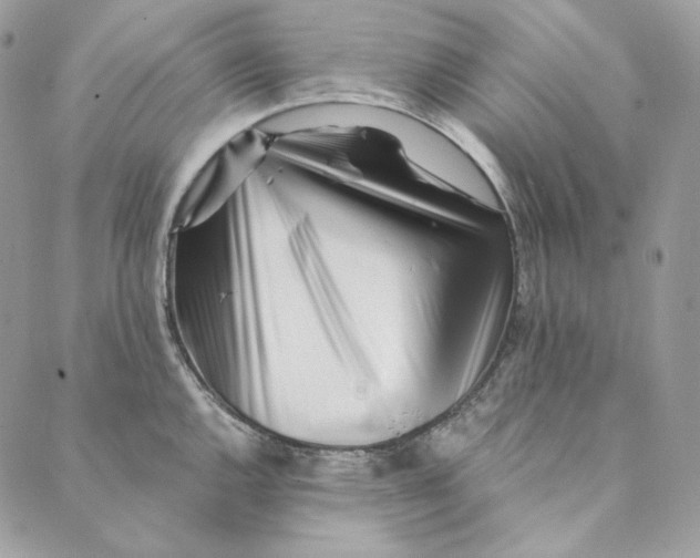 X0000088891144200706291433