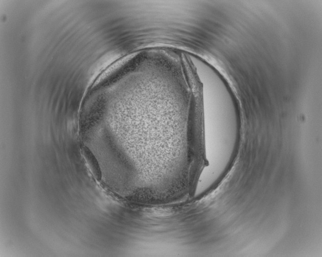 X0000088891145200706291433