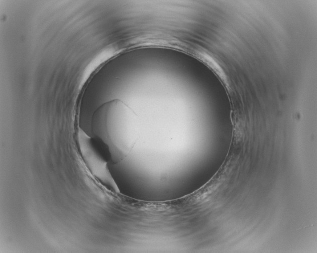 X0000088891146200706291433