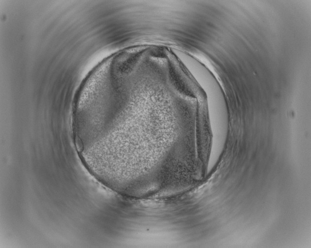 X0000088891147200706291433