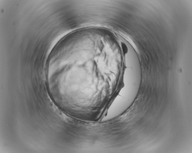 X0000088891148200706291433