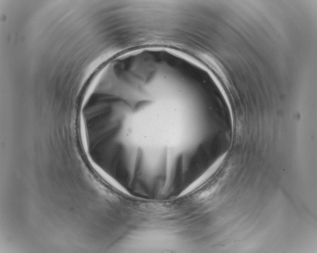 X0000088891149200706291433