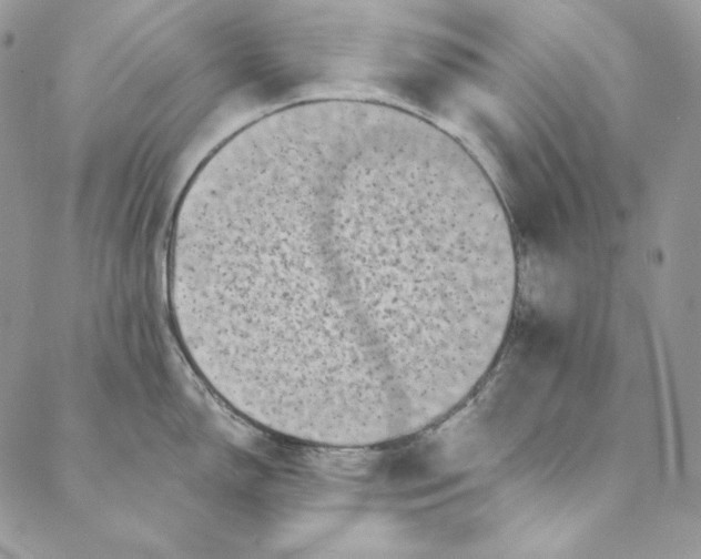 X0000088891150200706291433