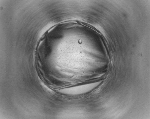 X0000088891151200706291433