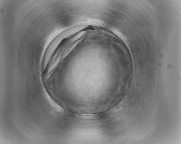 X0000088891152200706291433