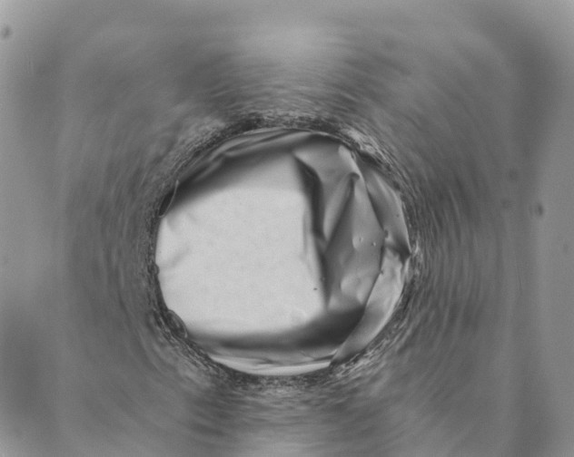 X0000088891153200706291433