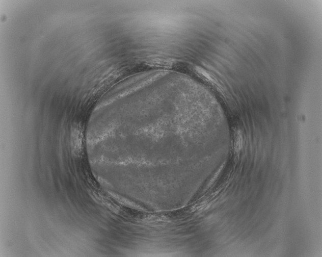 X0000088891154200706291433