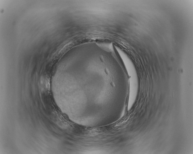 X0000088891155200706291433