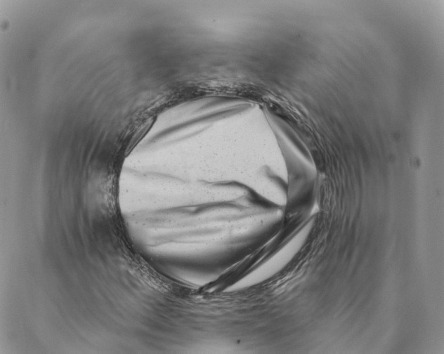 X0000088891156200706291433