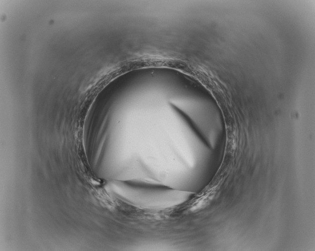 X0000088891157200706291433