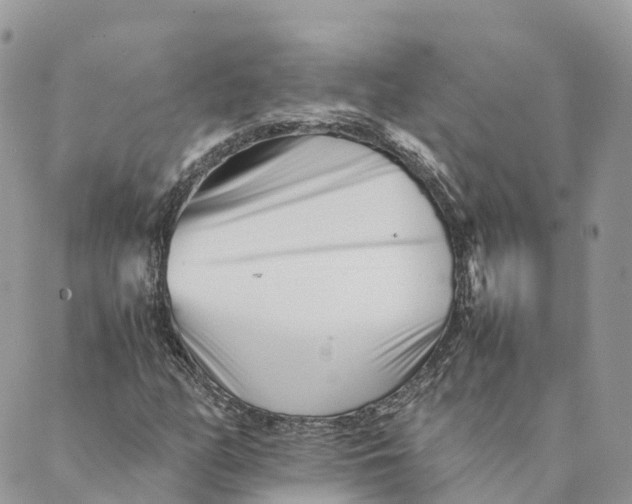 X0000088891158200706291432