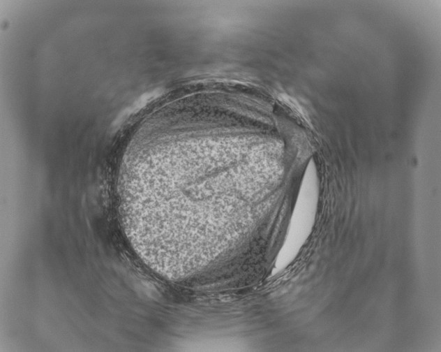 X0000088891159200706291432