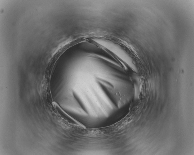 X0000088891160200706291432