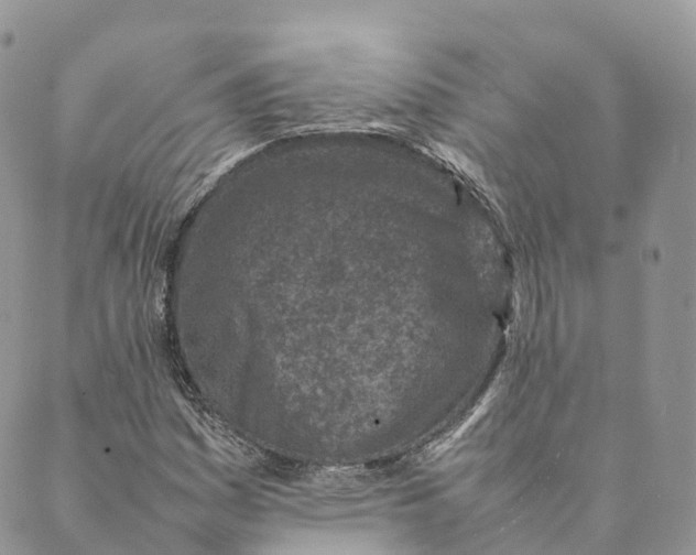 X0000088891161200706291432