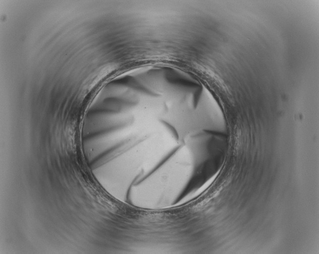 X0000088891162200706291432