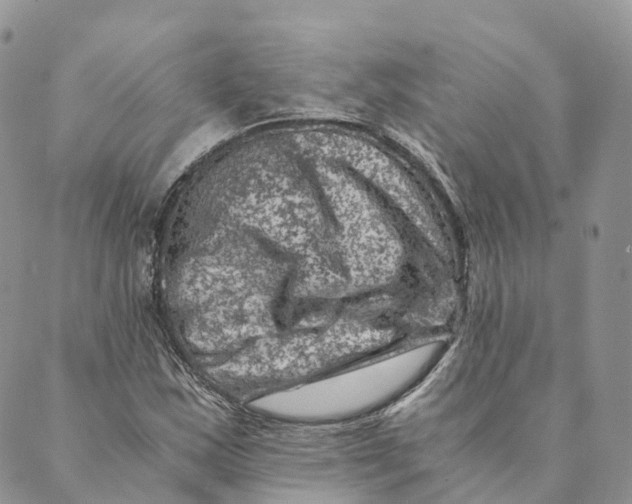 X0000088891163200706291432