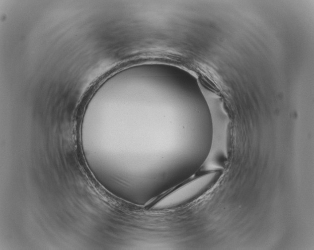 X0000088891164200706291432