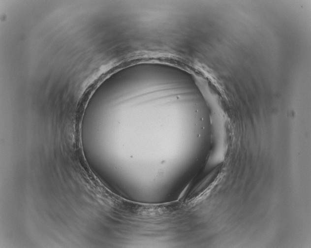 X0000088891165200706291432