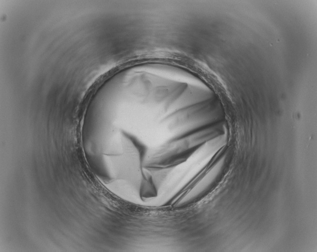 X0000088891166200706291432