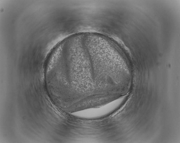 X0000088891167200706291432