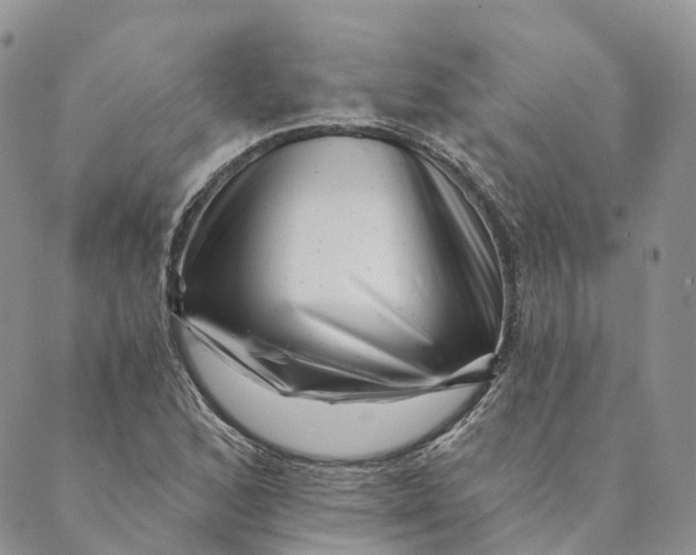 X0000088891168200706291432