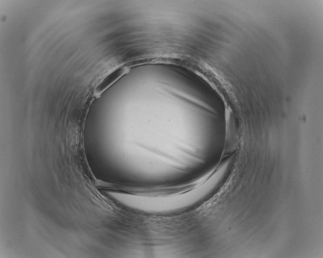 X0000088891169200706291432