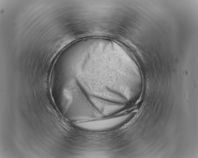 X0000088891170200706291432