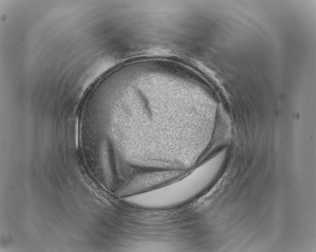 X0000088891171200706291432